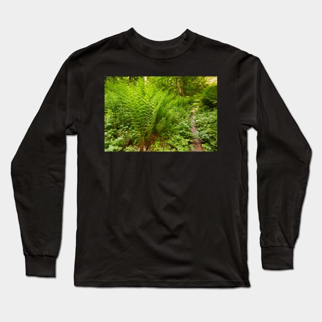 Ferns on the mountain forest Long Sleeve T-Shirt by naturalis